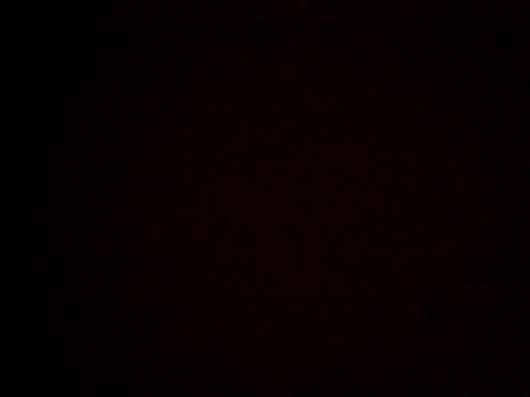 شيماء الدوسري