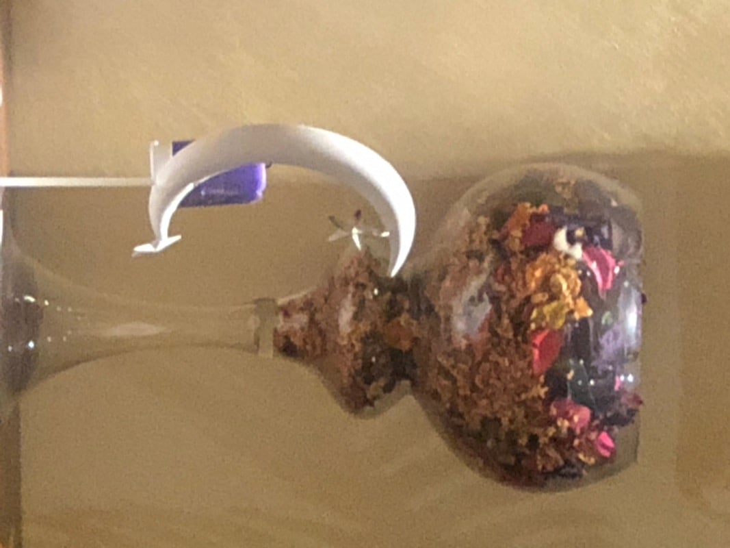 نوران ال مستنير