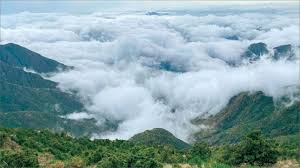 وليد عامر محمد الهلالي