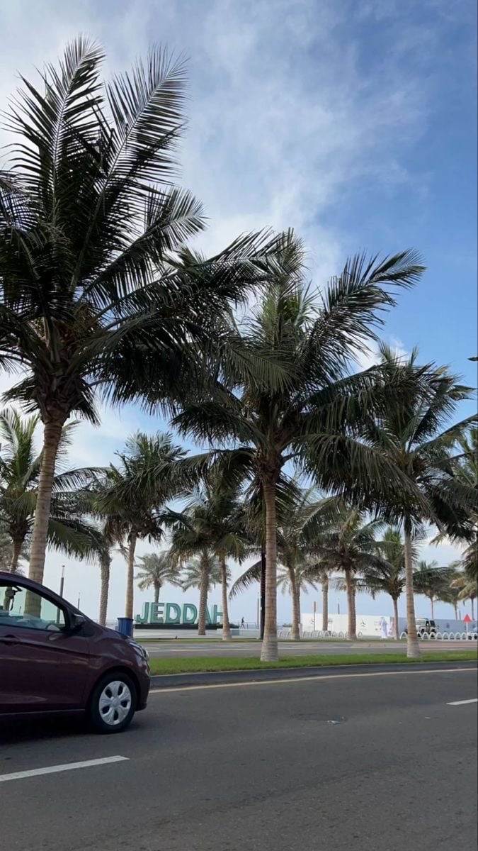 ناصر ال