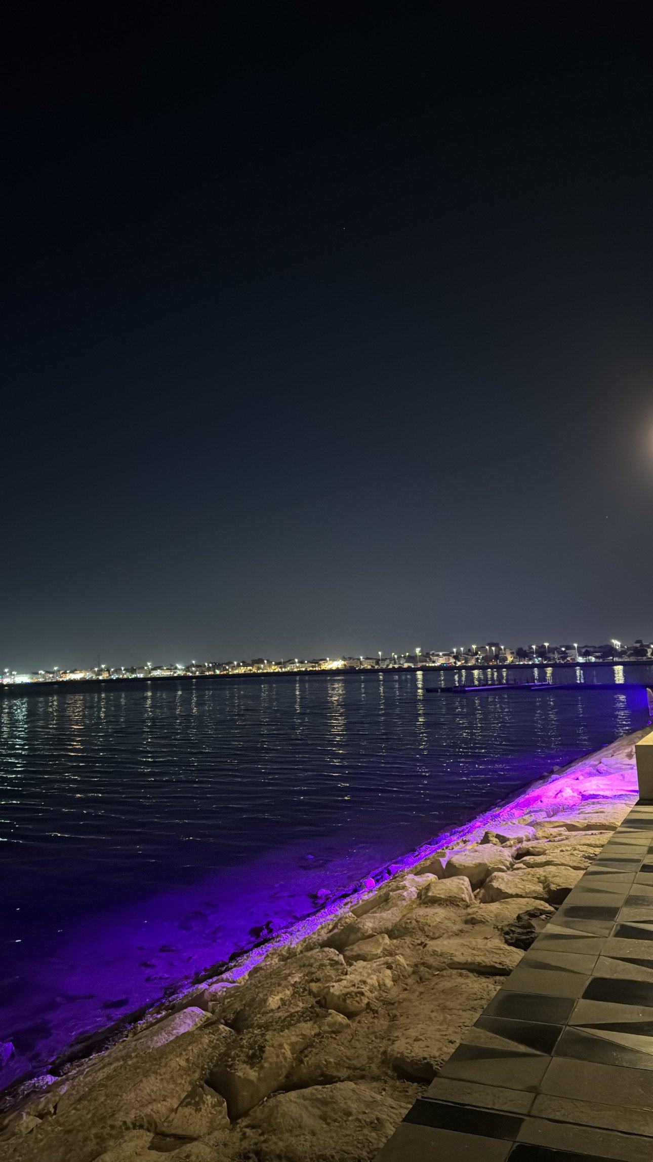 انس الدسمال