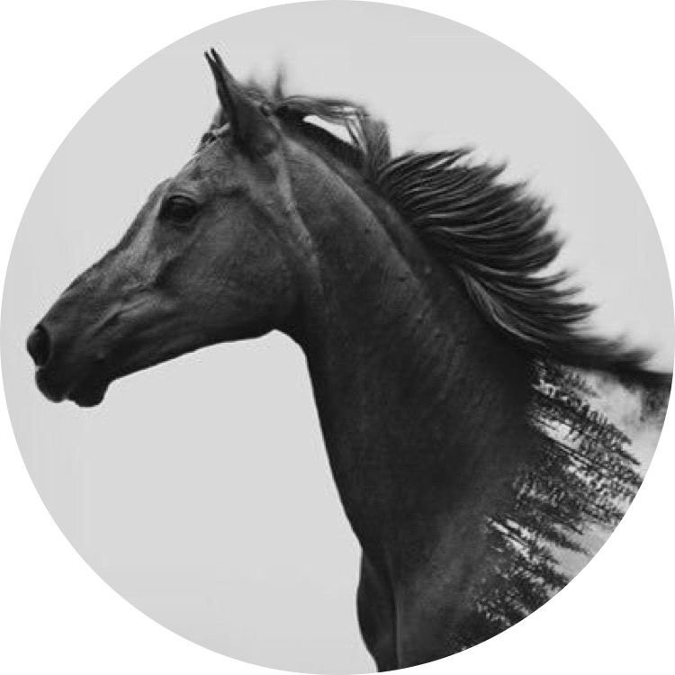 أفراح الدوسري