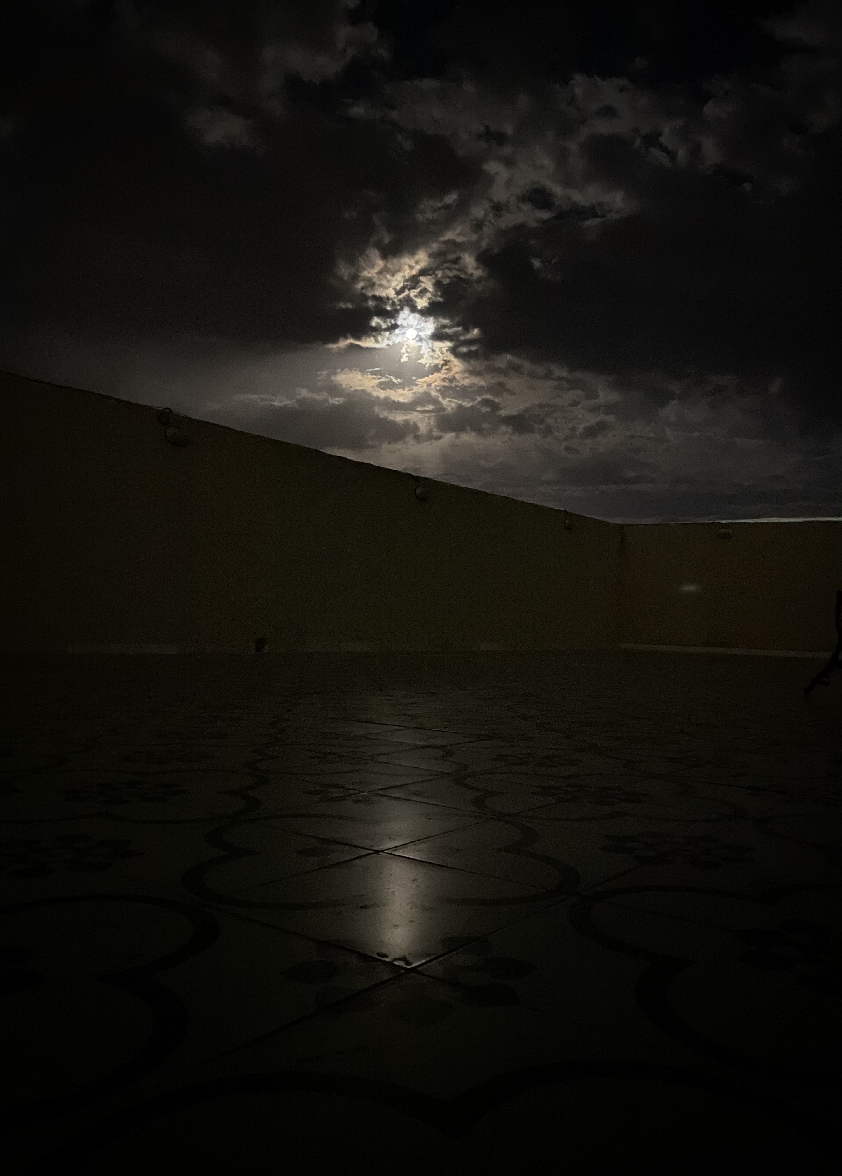 اهداب الروقي