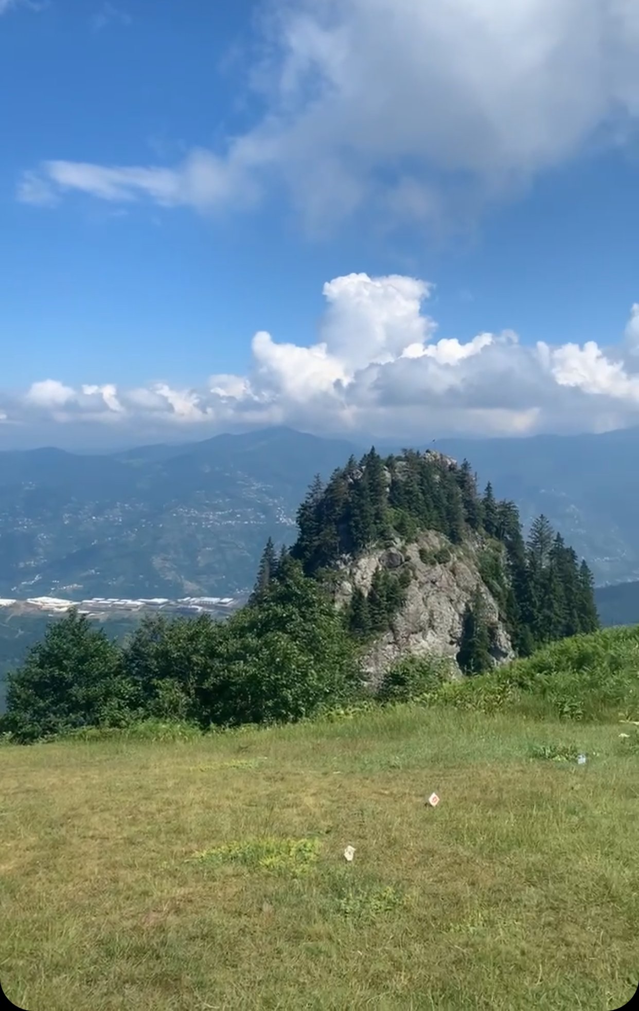 نوره العتيبي