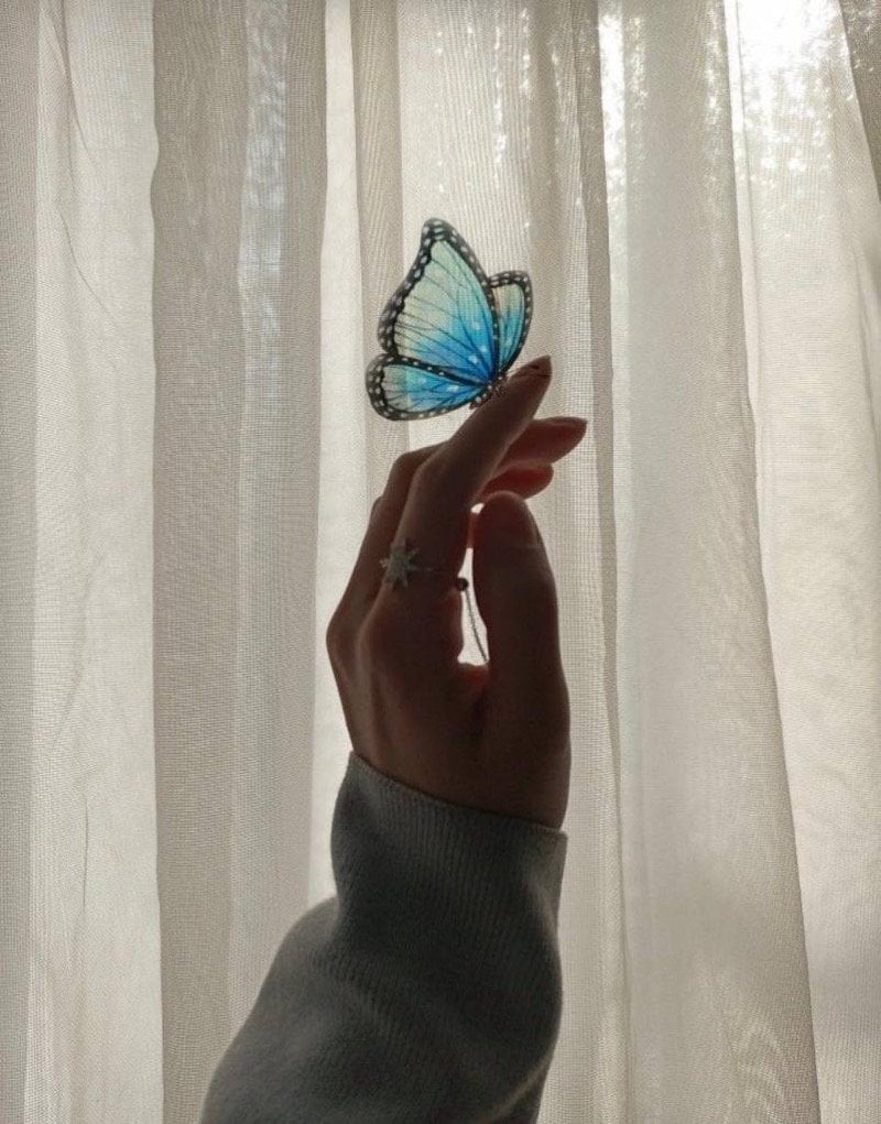 هند سعود🦋