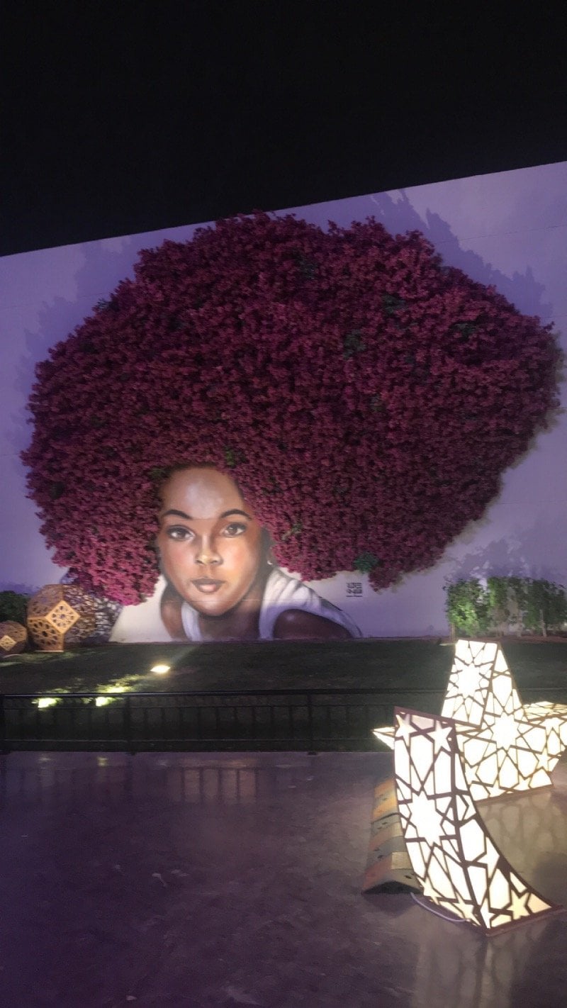 عبير الحربي