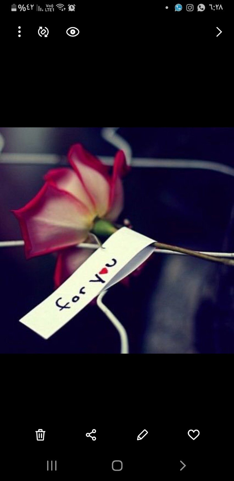 مقبولة المكتوم