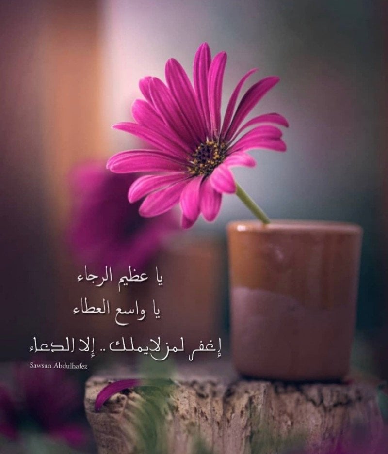 غازي ا