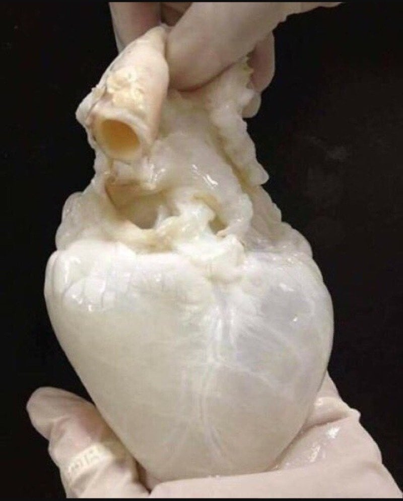 خالد المالكي