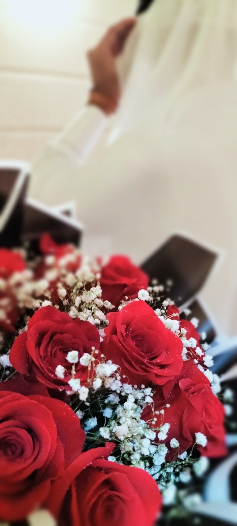 فراس ال حمدان