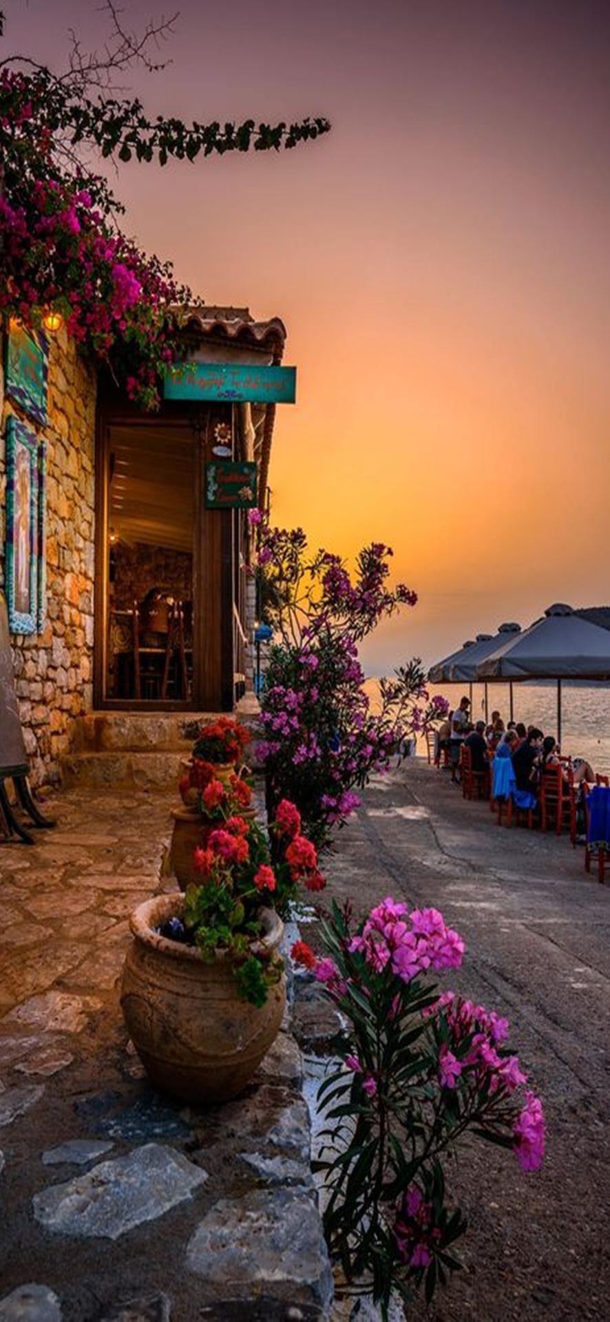 جميل النجم جميل النجم