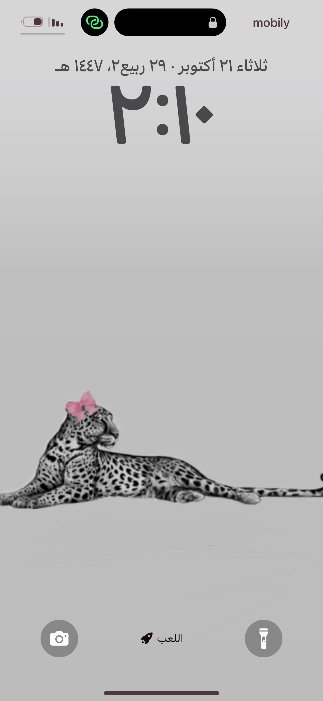 هبه عبدالله