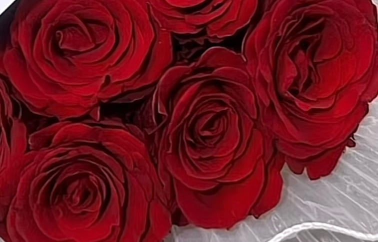 هدى عبدالله