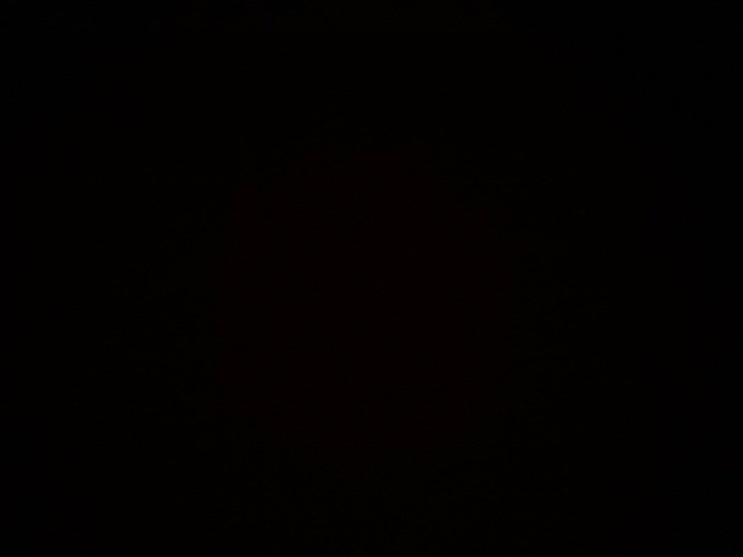 محمد المطيري