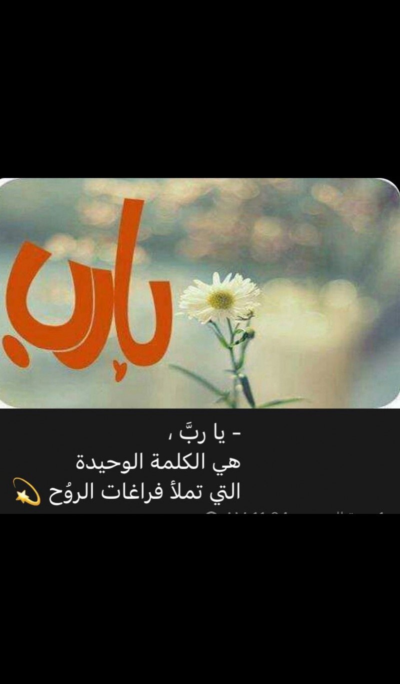 إبتسام الغامدي