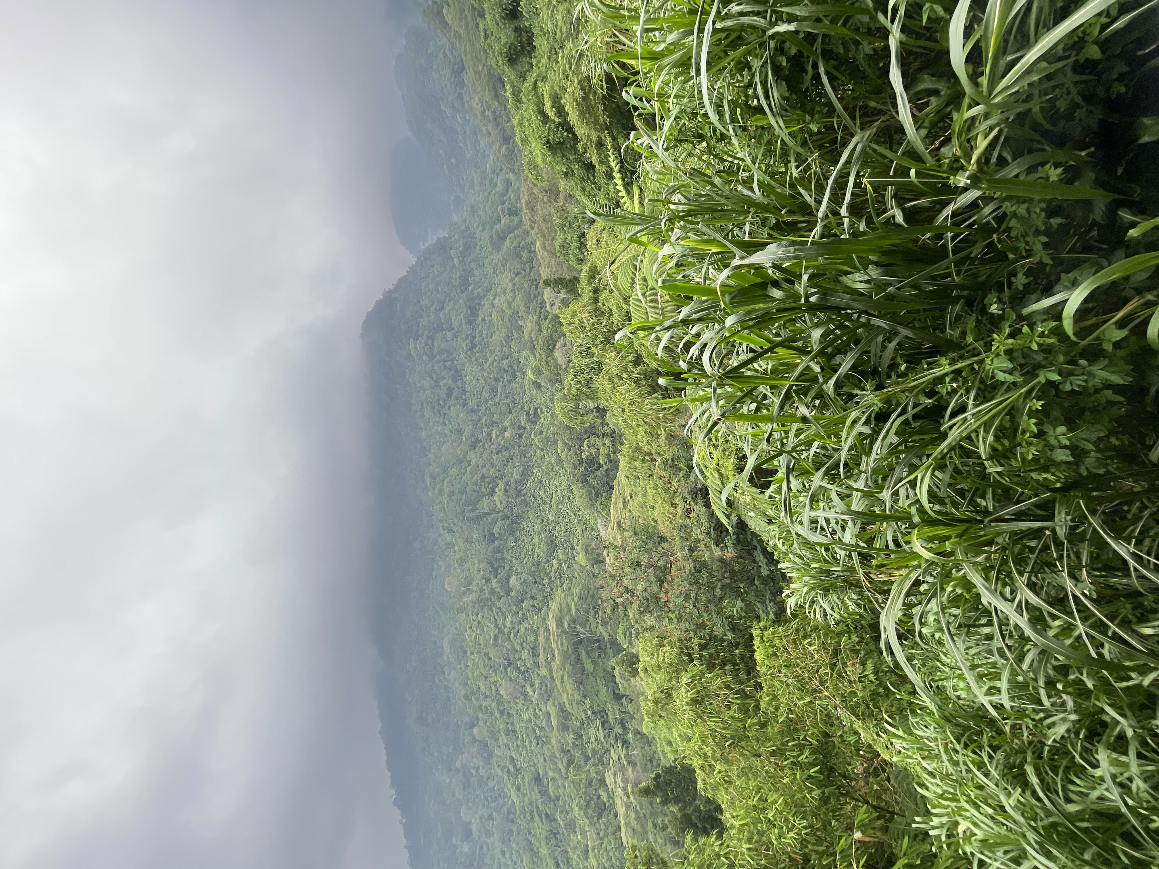 عبدالله الزبيدي