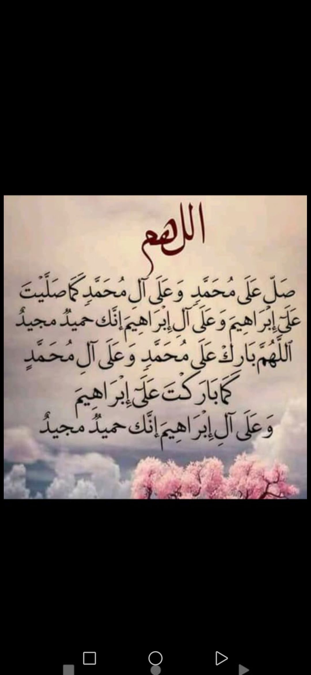 محمد عمر محمد سليمان شعيب