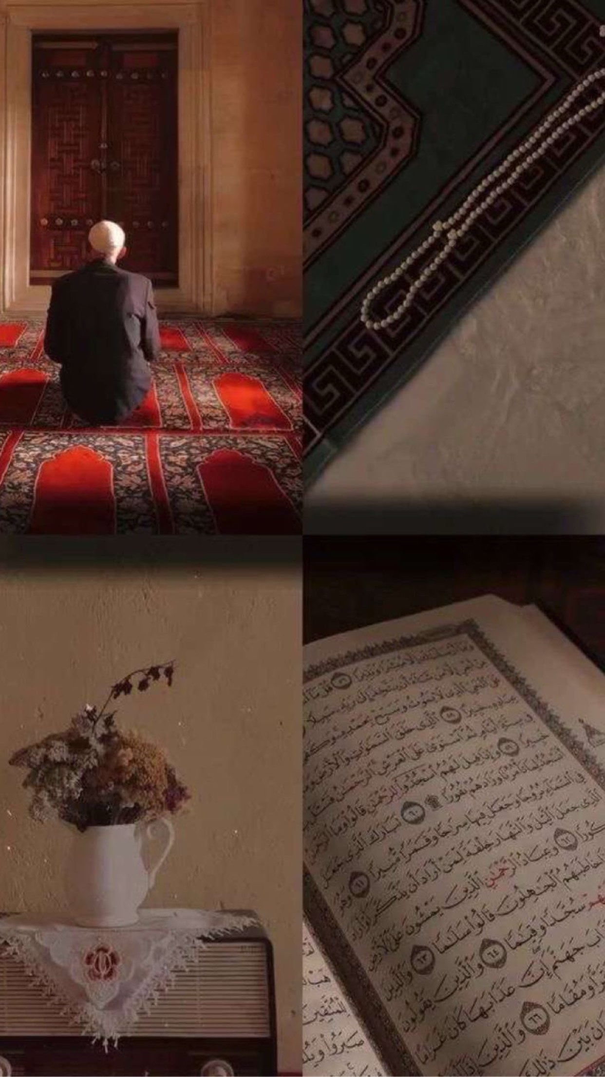 اسماء علي