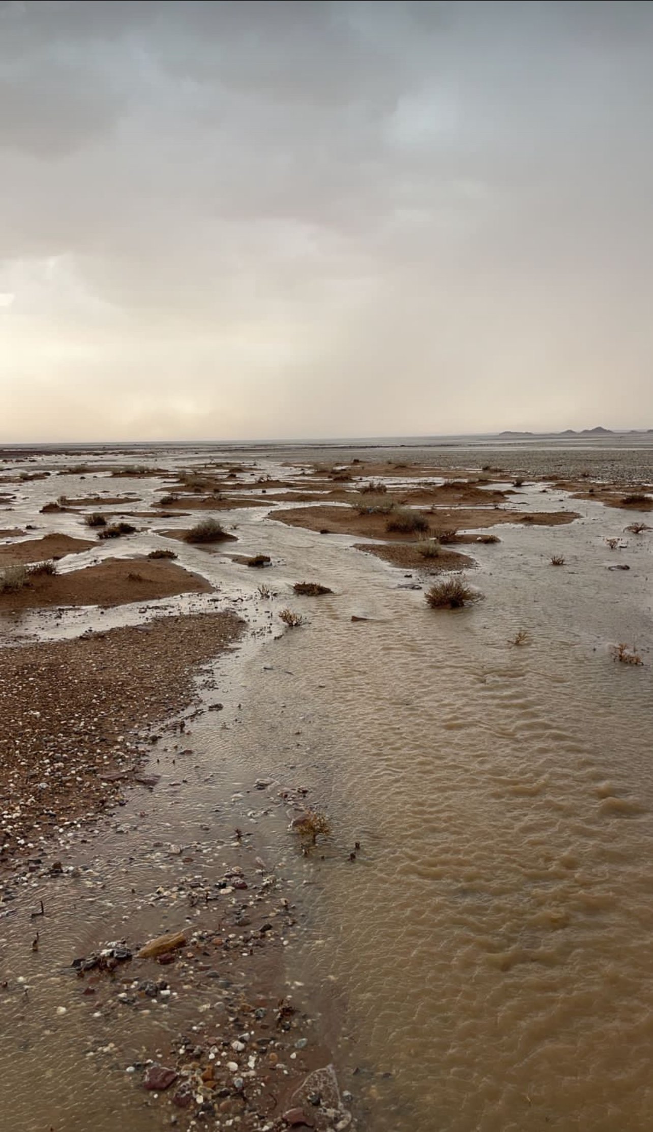 ابو ريان العنزي