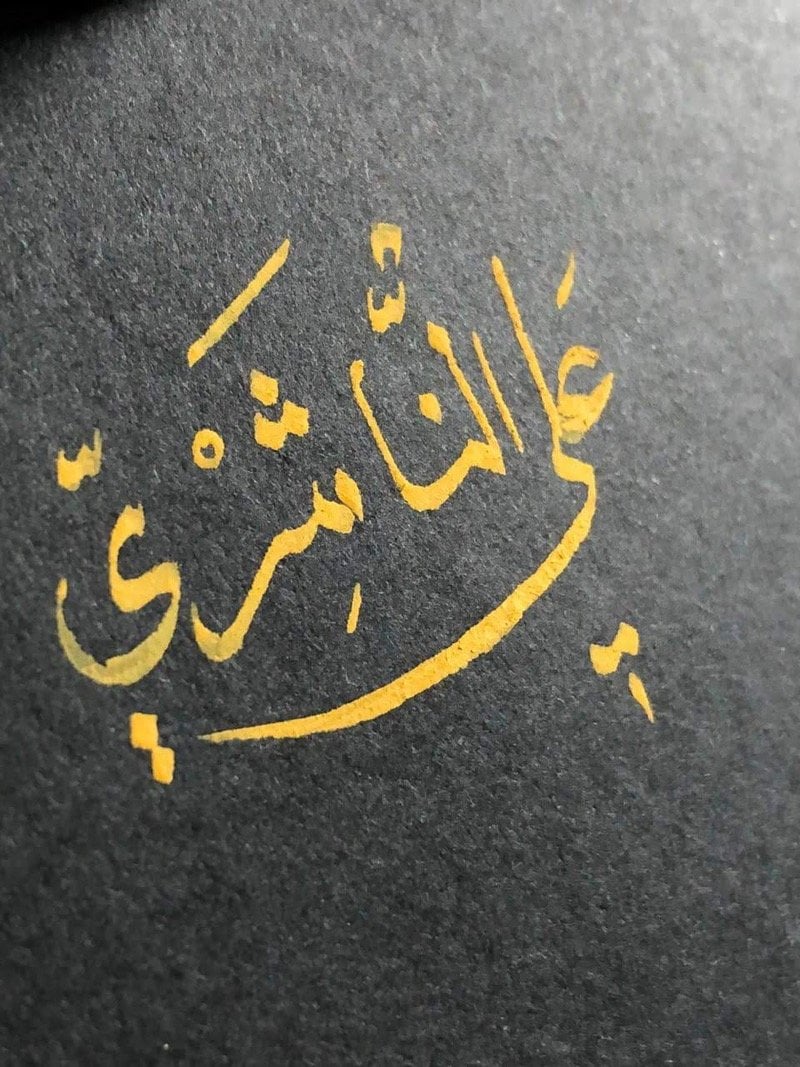 علي الناشري