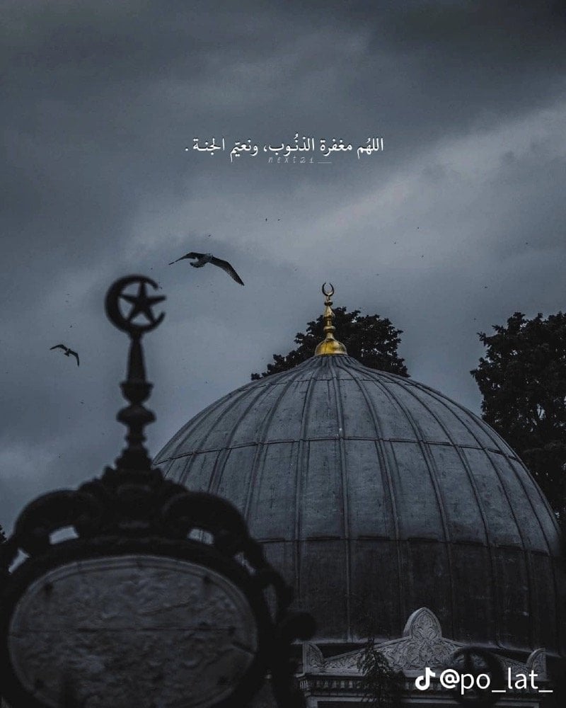 فاتن الرشيدي