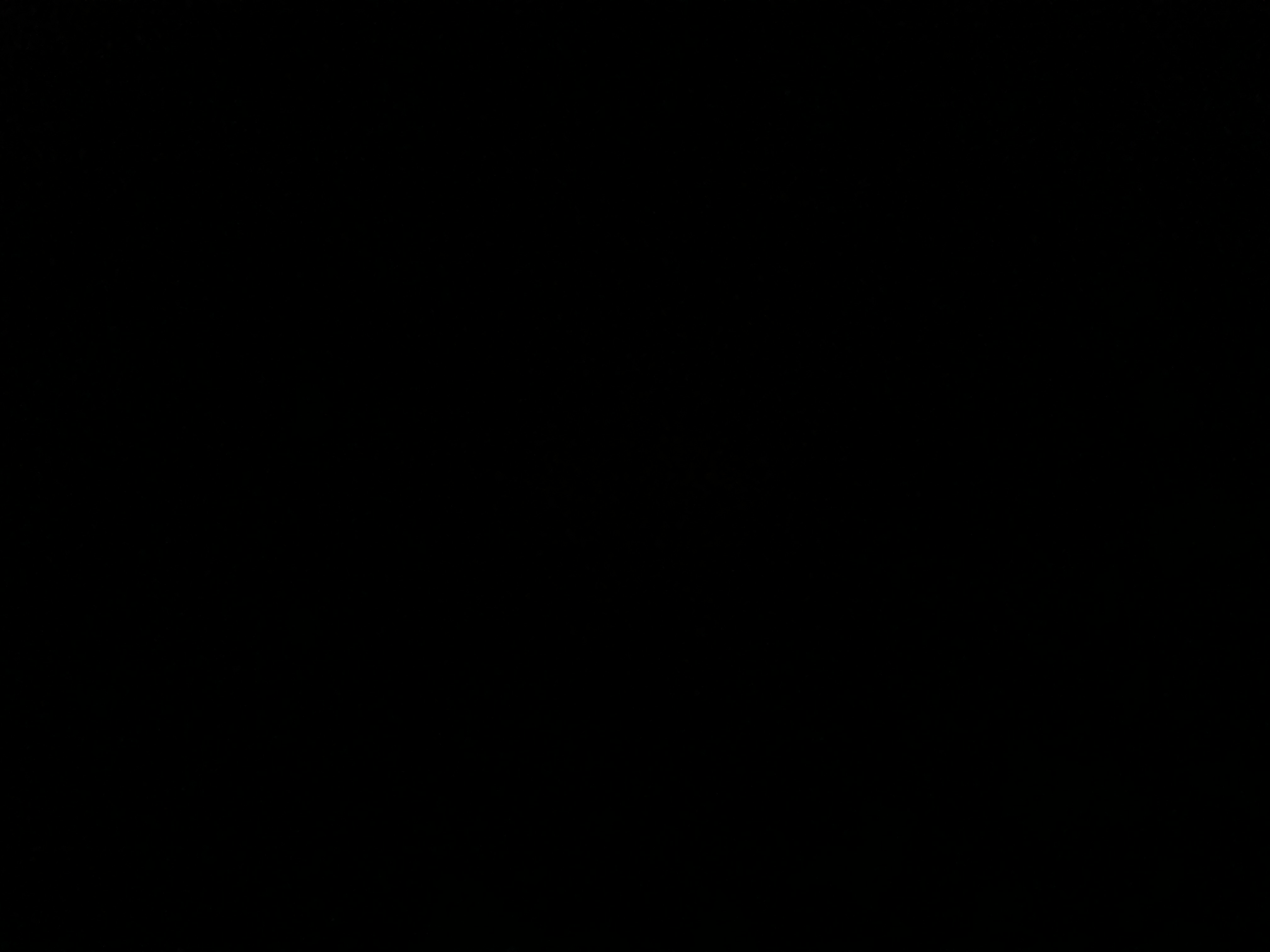 لطيفه الحريب