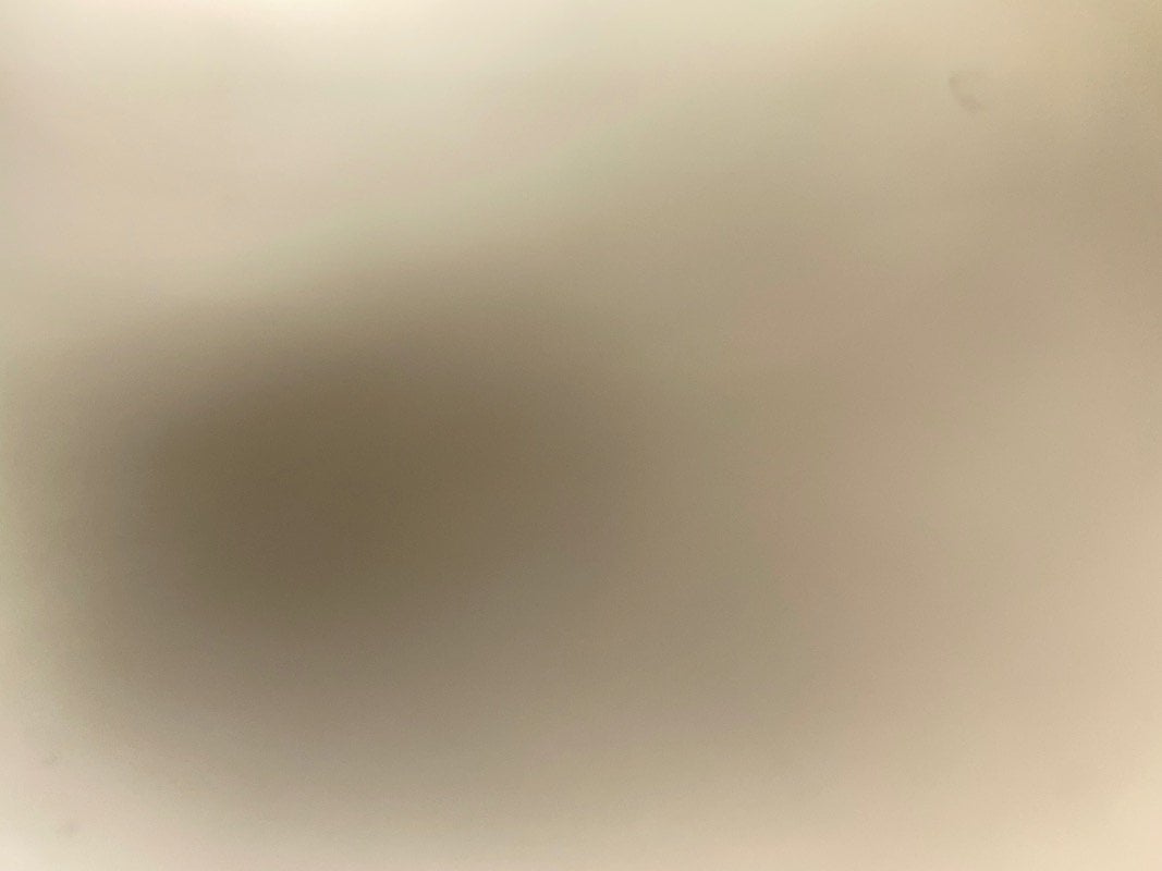 احلام القرني