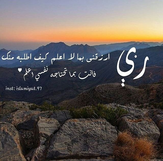 نجلاء زايد
