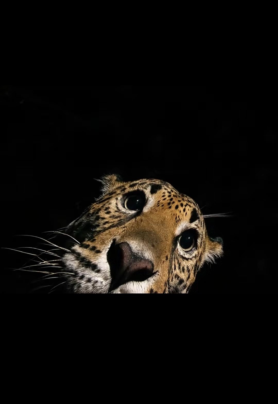 عمر الزهراني