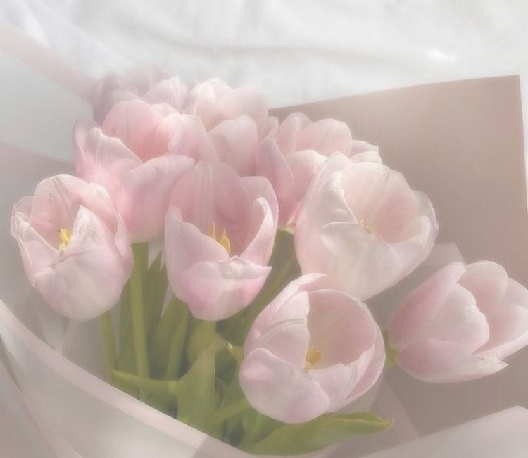 جوري الغامدي