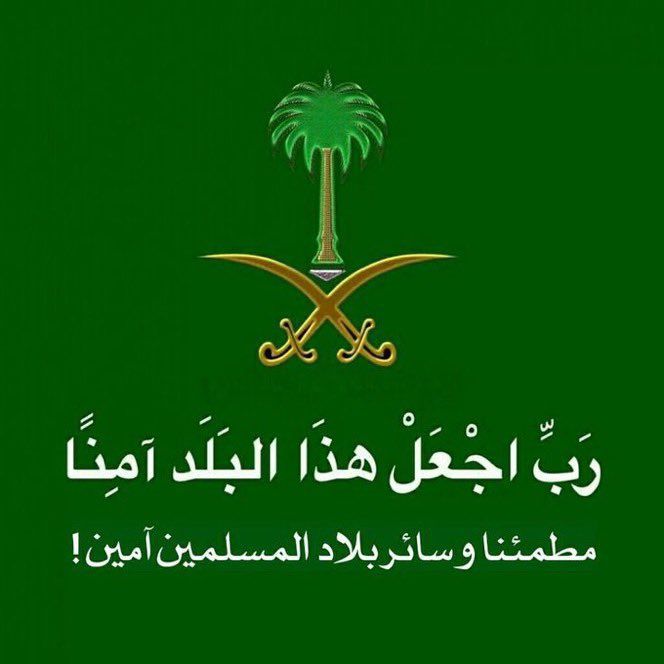 أحمد مدخلي