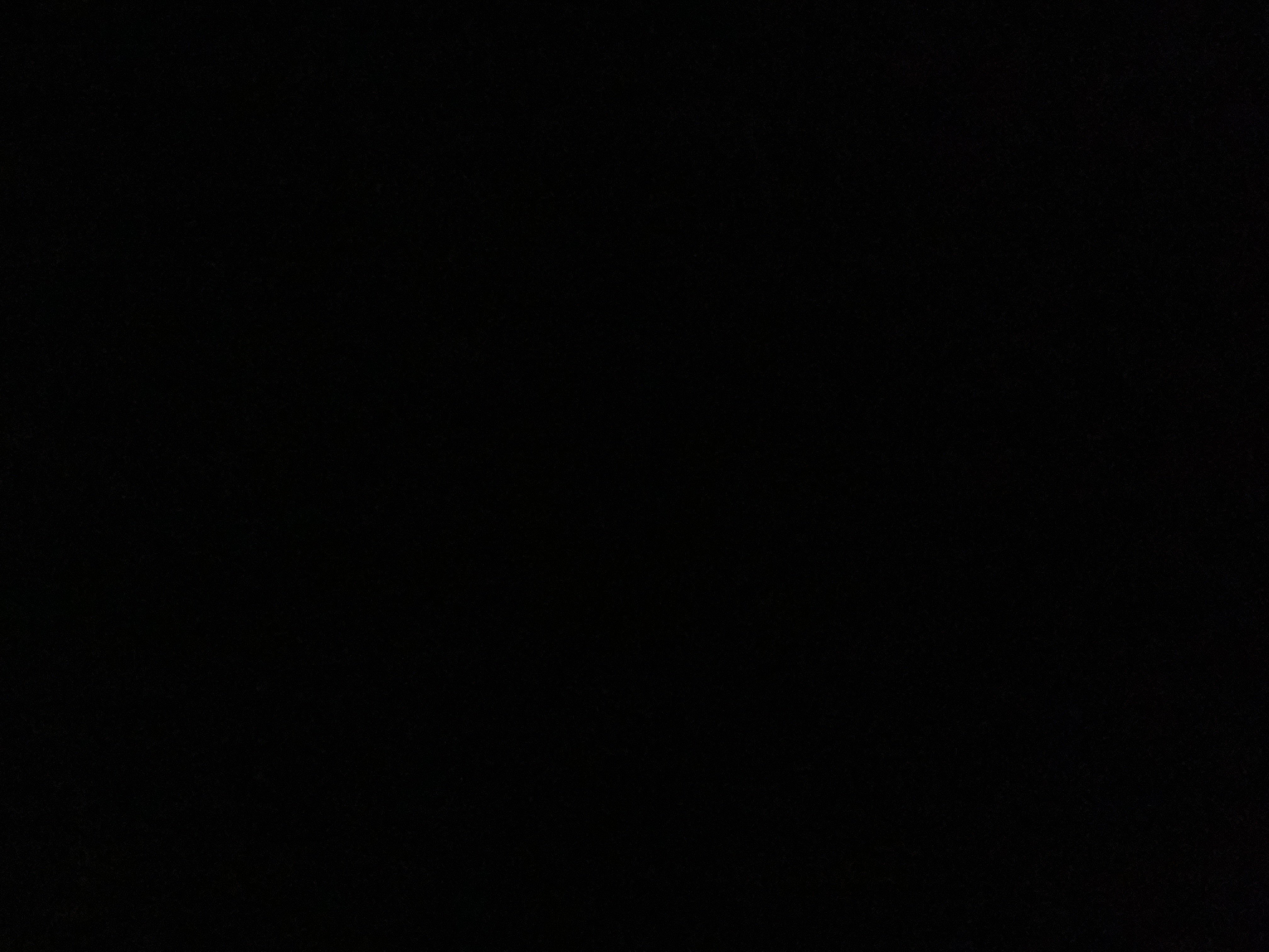 محمد البلوشي