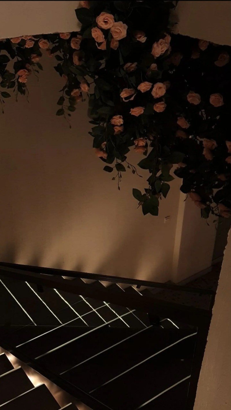 اروى الحارثي