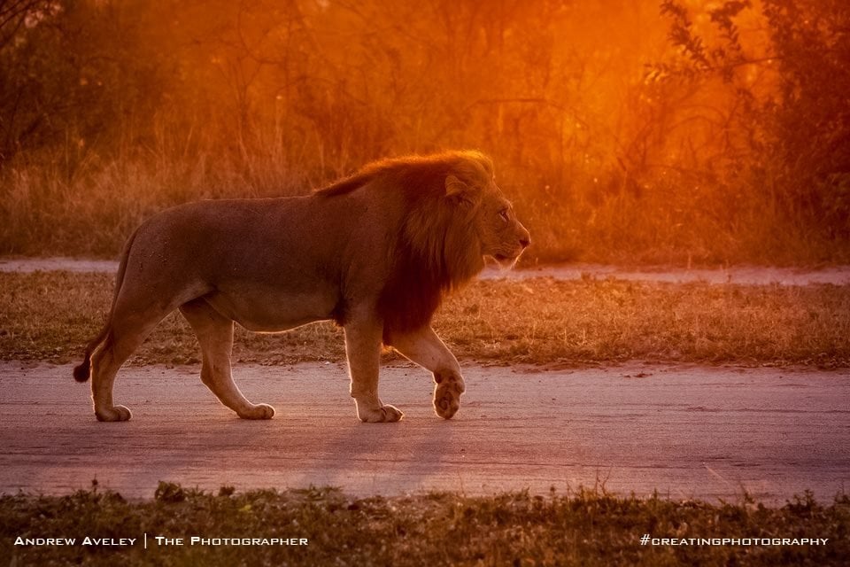 AbdullKareem Al-Maliki