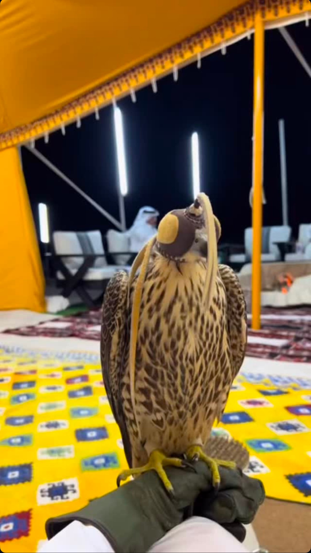 فهد المطيري