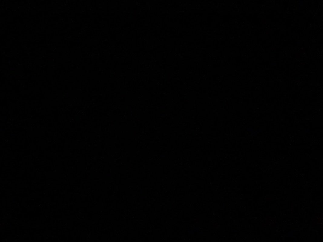 سلطان المطيري