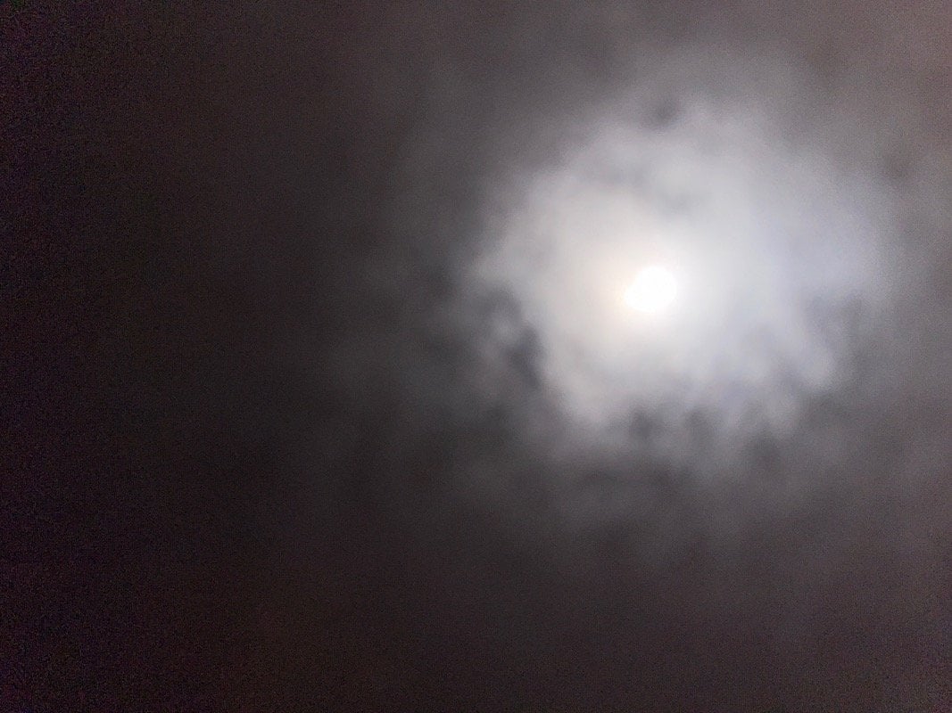 صلاح المرزوق