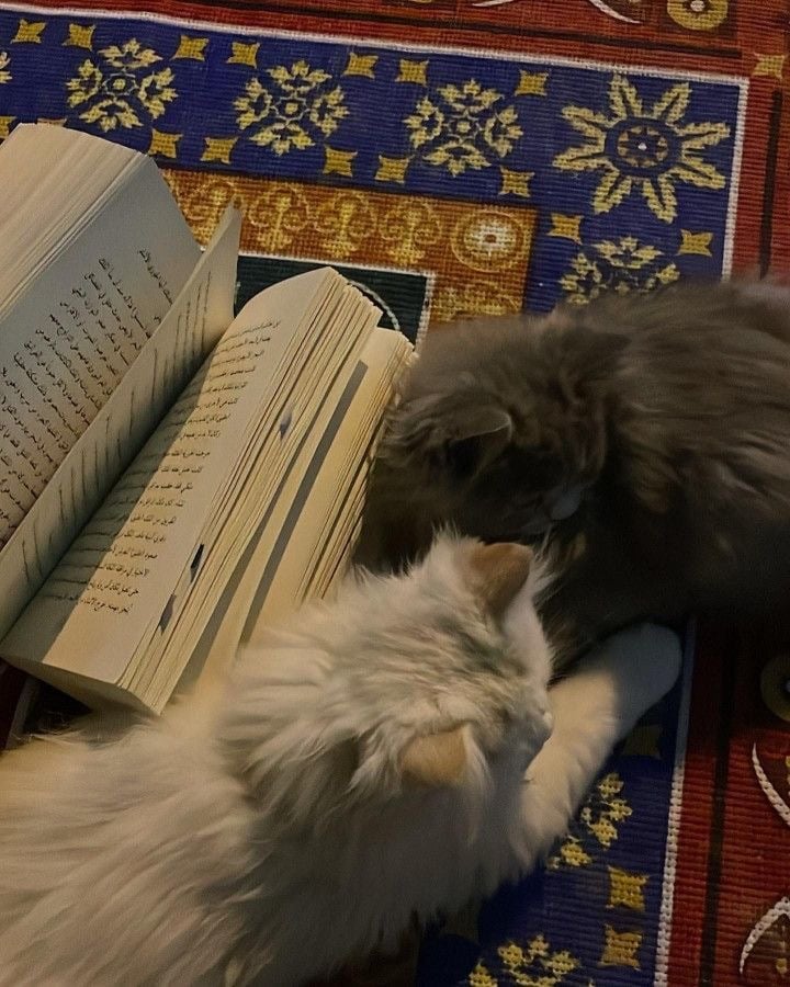 retaj Al malki