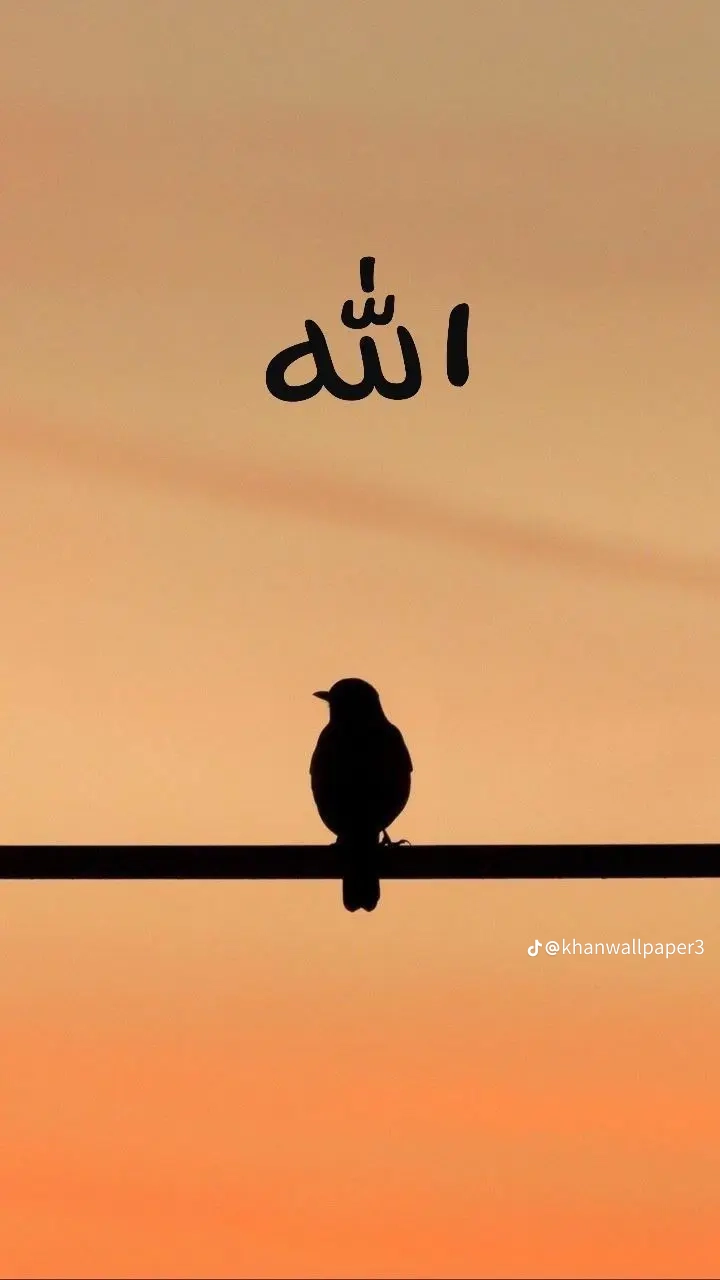 عبدالعزيز الجباب