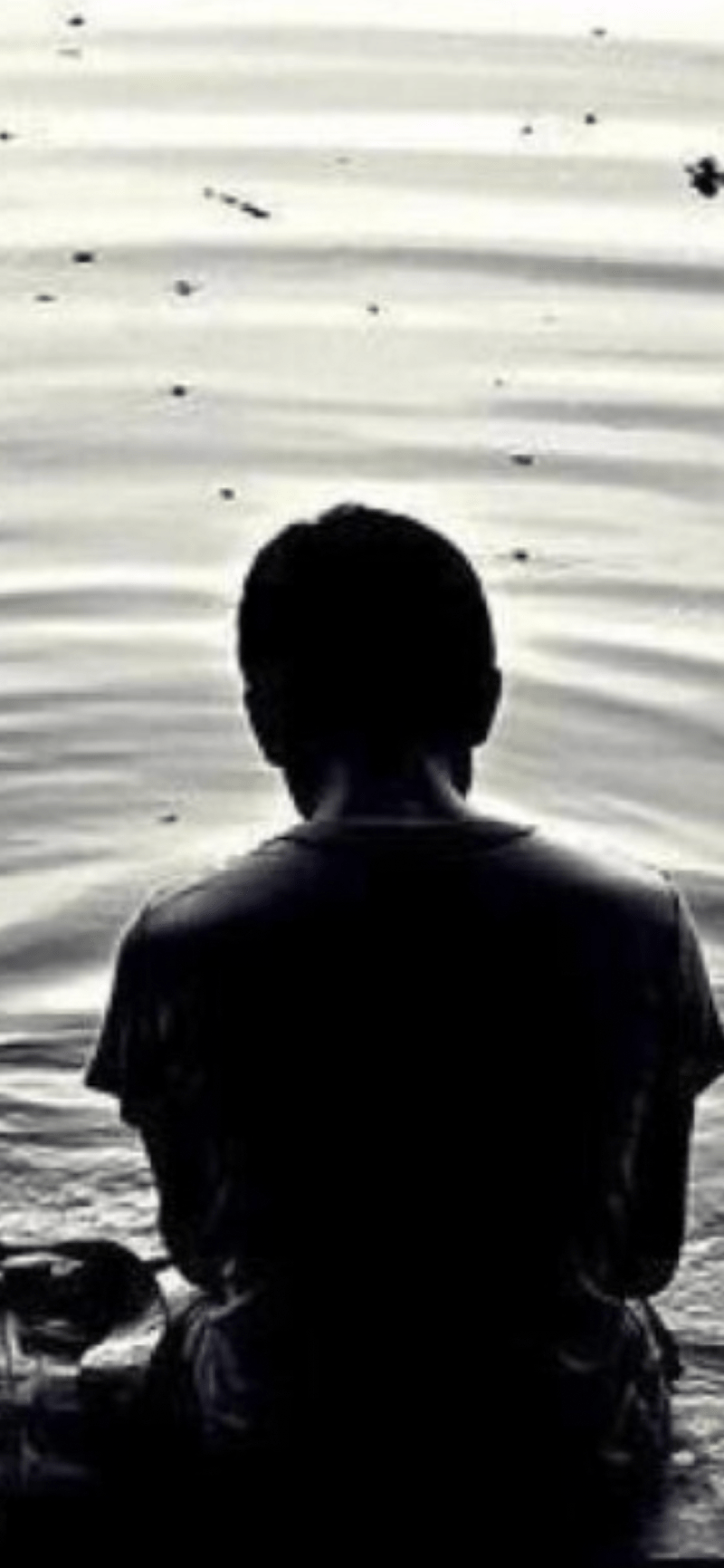 محمد الرشيدي