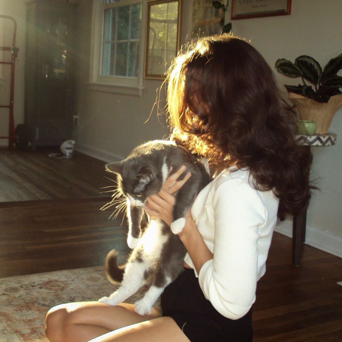 لولوة الشمري