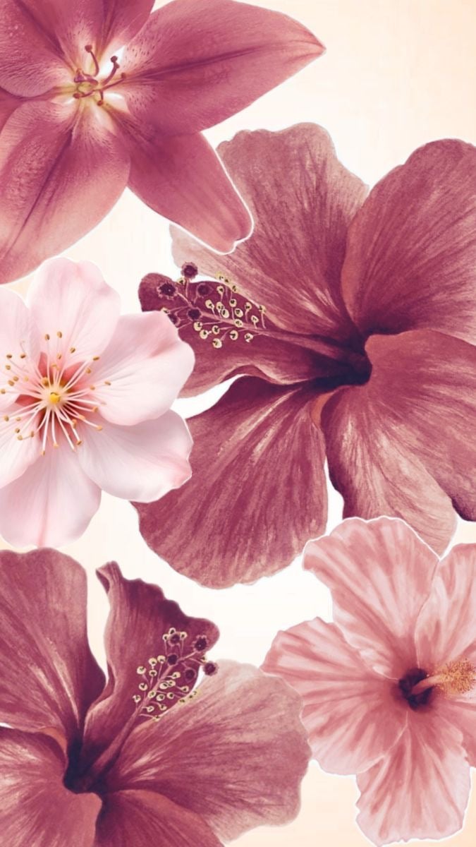 أسيل المطيري