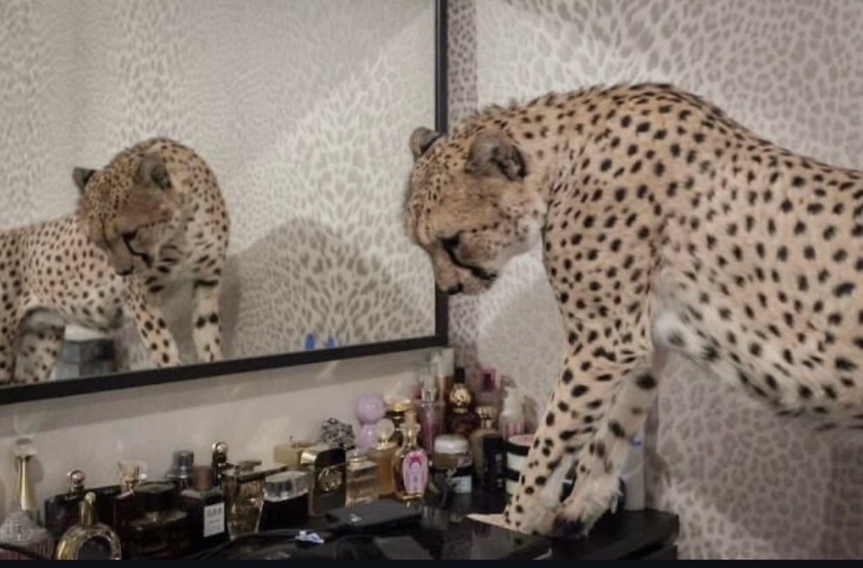 عائشه التميمي