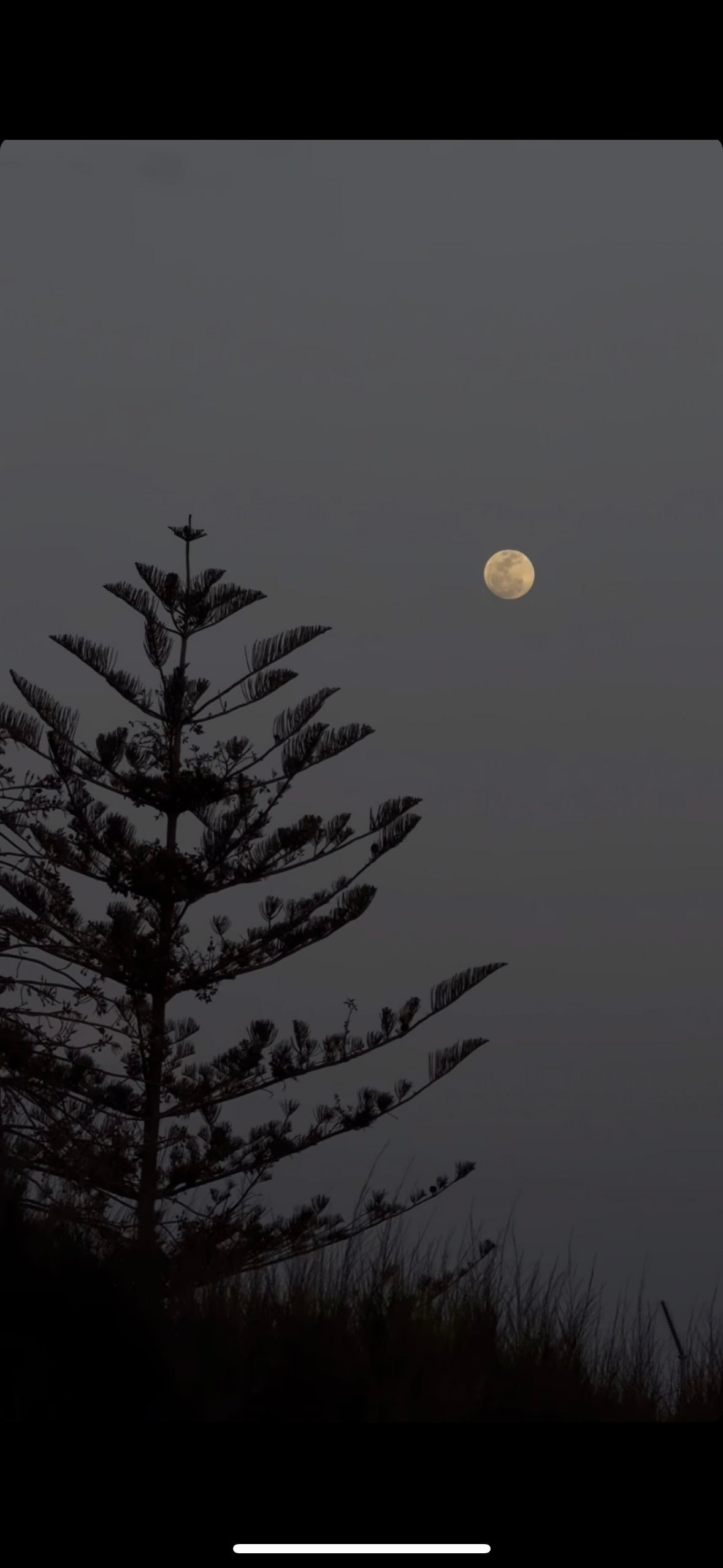 منار البارقي