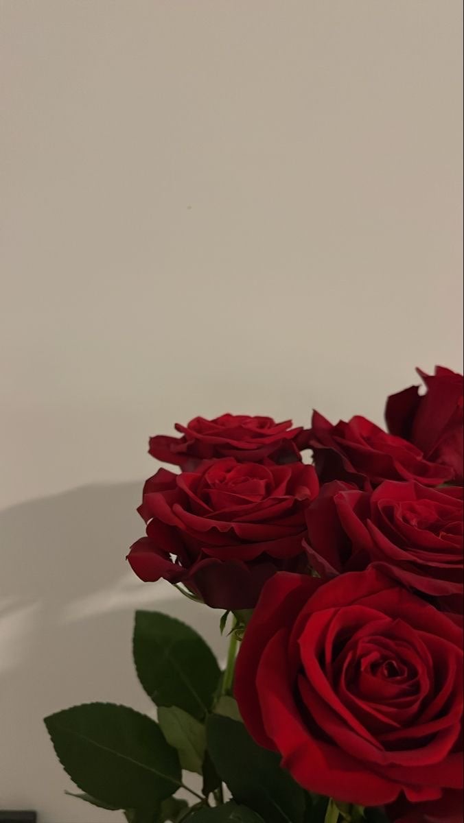 شهد الحربي