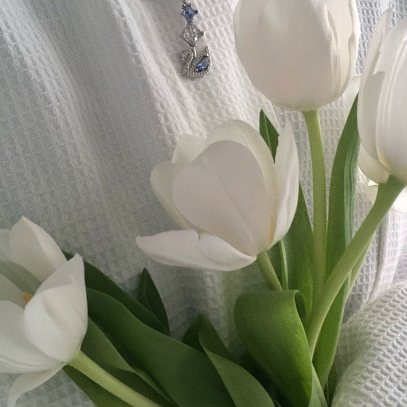 نورة العتيبي