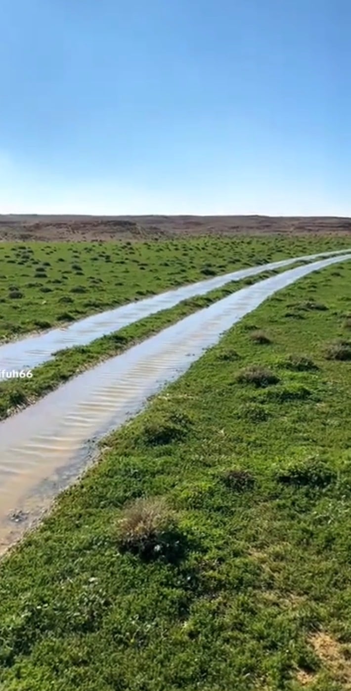 فارس الوقاع