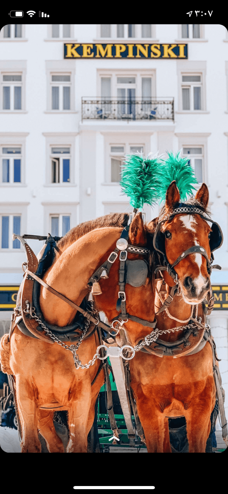 نسيبه الشريف 🌺