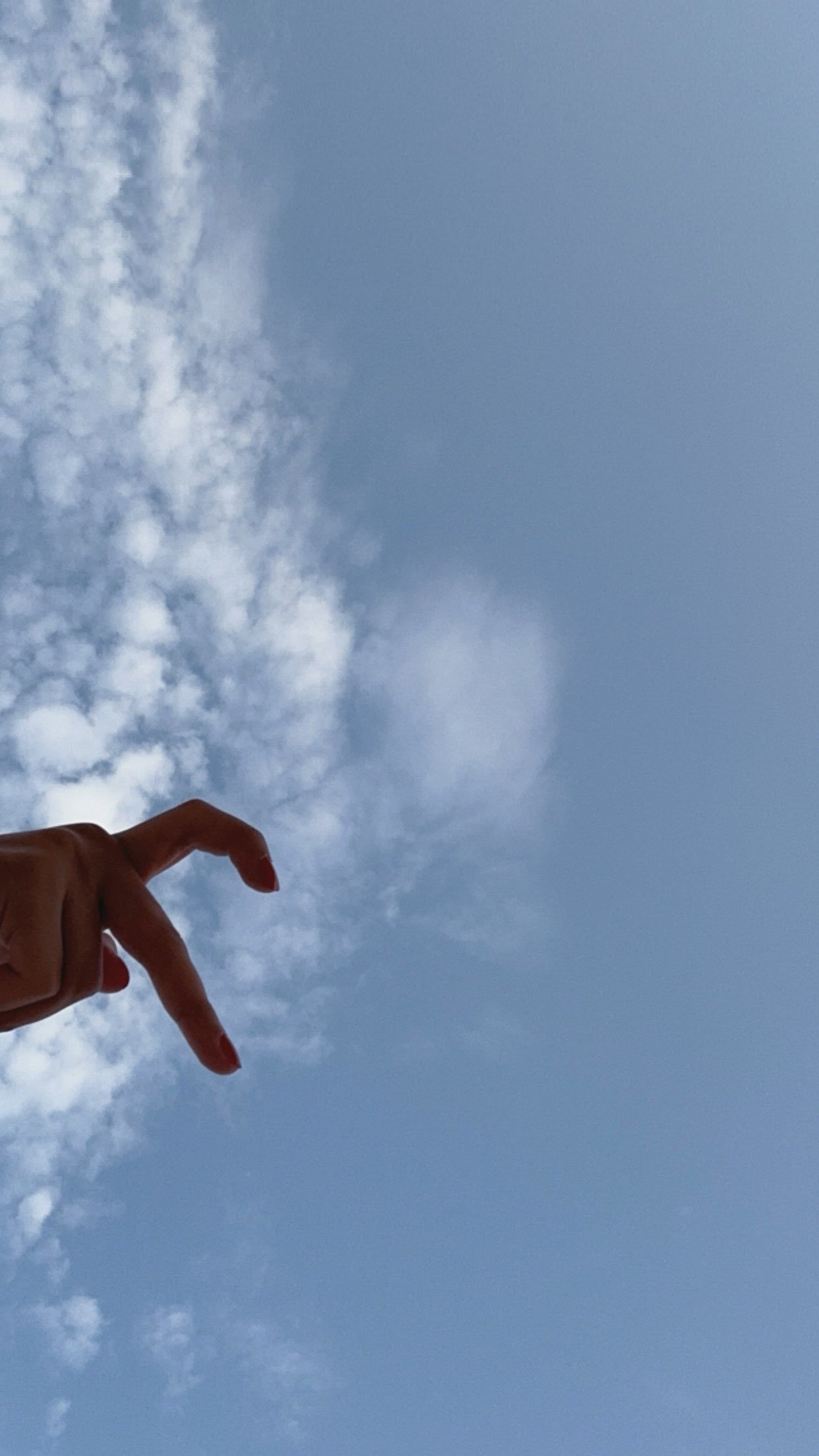 الشمري فايزه