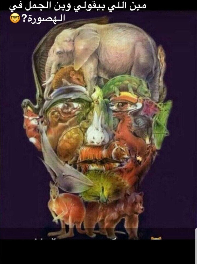 متعب النهار